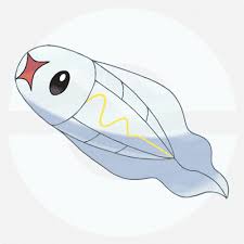 都有哪些宠物小精灵,十大最火的宠物小精灵