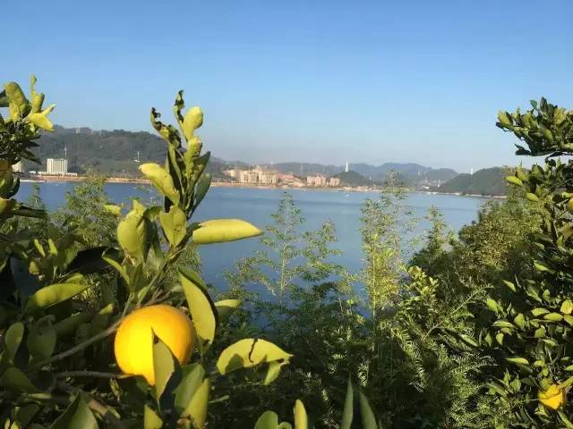 40岁大叔买下一座岛,大叔为钓鱼买下一座岛