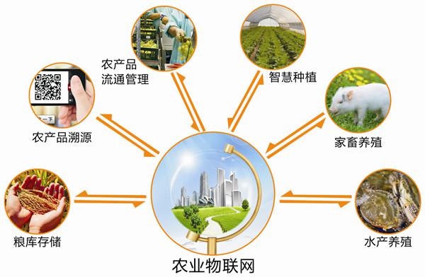 农业物联网所需的信息系统