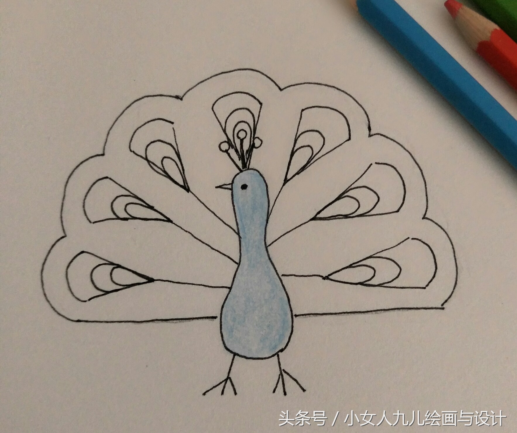 如何用手画孔雀简笔画,简笔画孔雀十二种画法