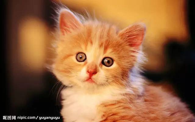 医生讲解抑郁症的治疗方法,杨甫德谈难治性抑郁症