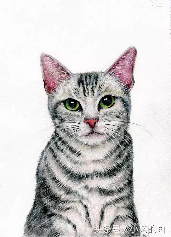 彩铅素描都是用的哪种彩铅,零基础学彩铅要先学会素描吗