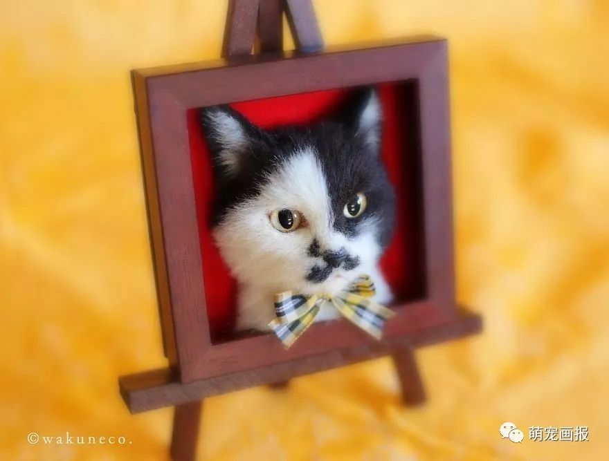 日本手工羊毛毡猫,日本巨型3d猫有多逼真