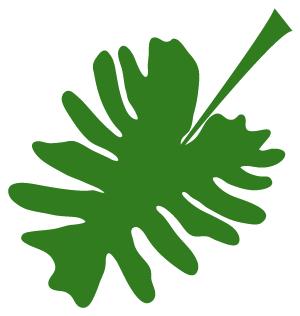 最高法院关于申请再审案例,最高法院关于再审审查规定