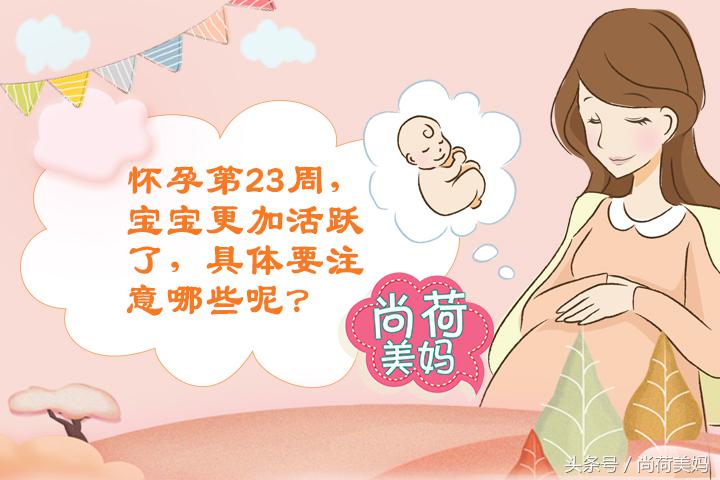 23周小月子后应该注意什么,怀孕第3个月胎宝宝的变化