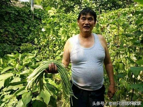 大衣哥给村民盖别墅,大衣哥在农村盖房