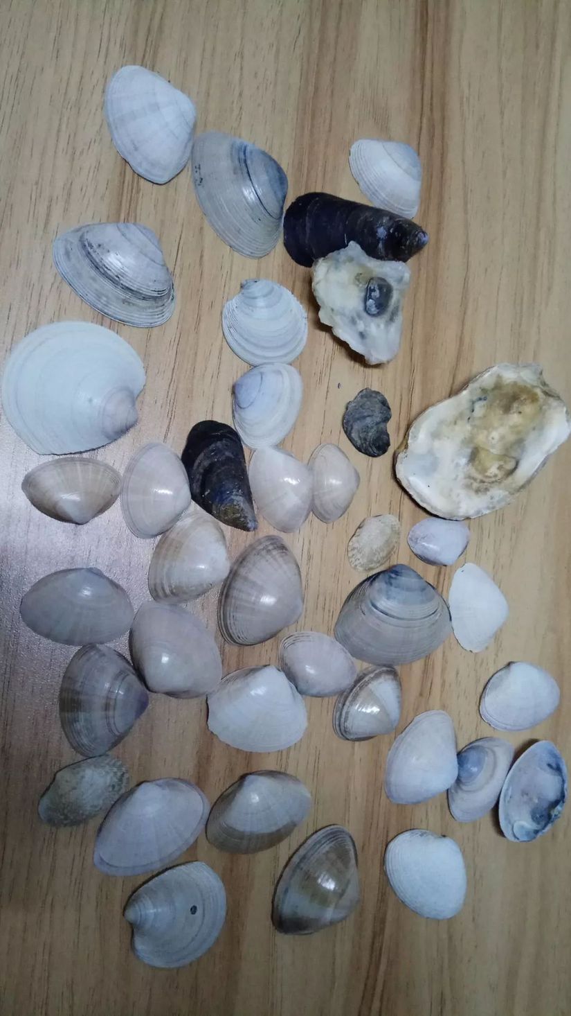 魂牵梦绕的沙滩海浪,魂牵梦绕的大海