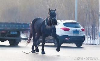 学拼音技巧声母韵母整体认读音节,学拼音声母技巧