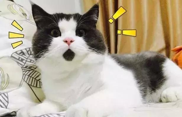 “山寨微信”出现，可转发语音，已经有人被骗了