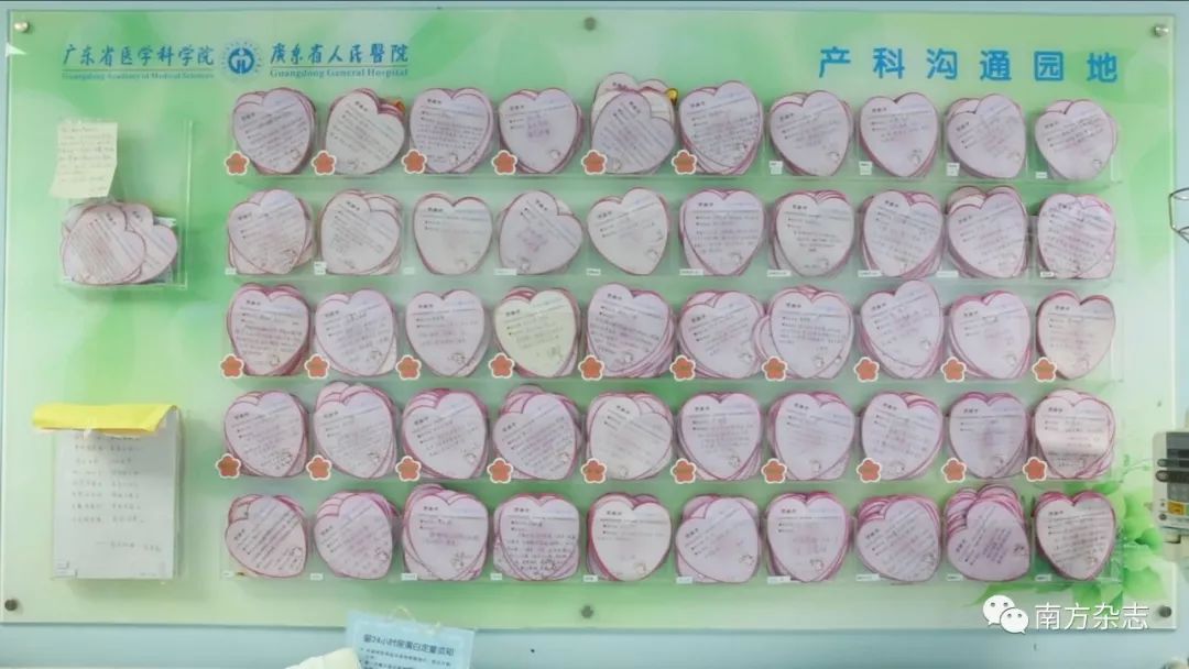 拆弹女专家视频,拆弹专家给猪绝育