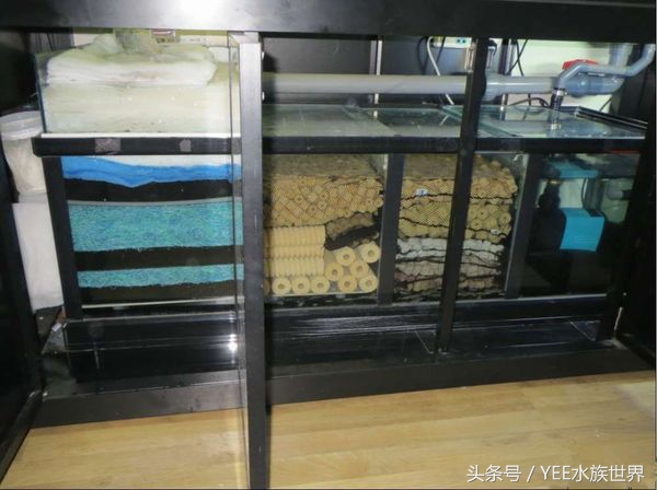 清除鱼缸垃圾鱼屎最好的方法,鱼缸清理垃圾用什么好使