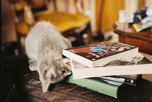 小小咖啡馆,开一间小小咖啡馆