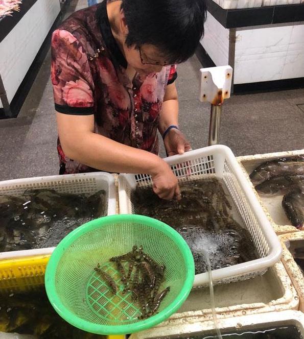 基围虾比河虾还便宜了市区的淡水产价格噌噌往上涨