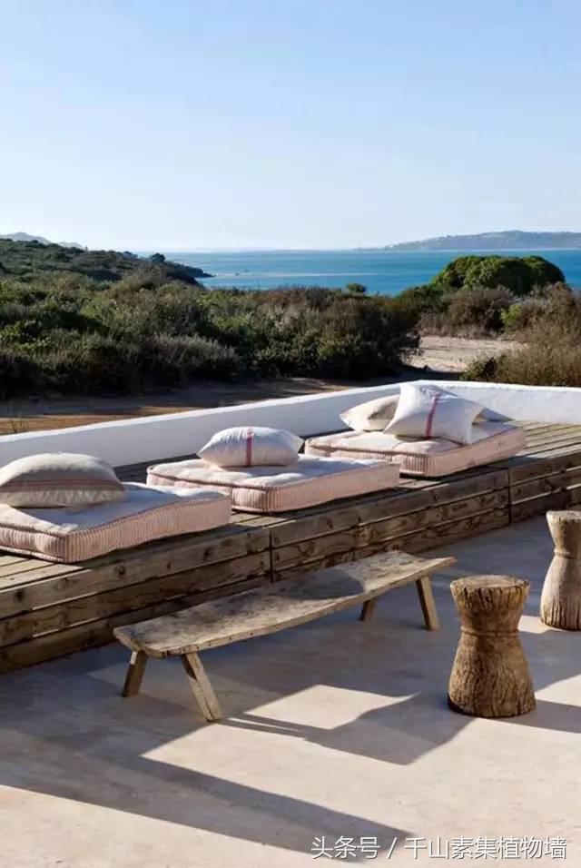 她用三年时间打造了一片露台花海,露台打造花海