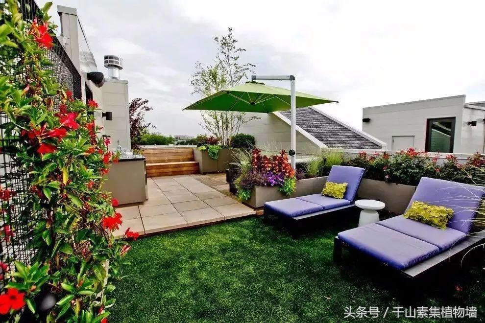 她用三年时间打造了一片露台花海,露台打造花海