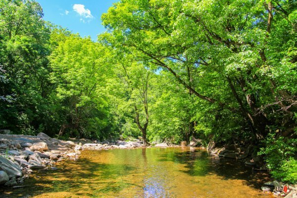涓囧瓧鏀荤暐,涓囧瓧瑙ｆ瀽鏀荤暐