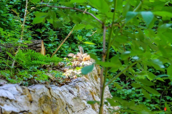 抚顺深度游攻略游记,抚顺旅游攻略自由行