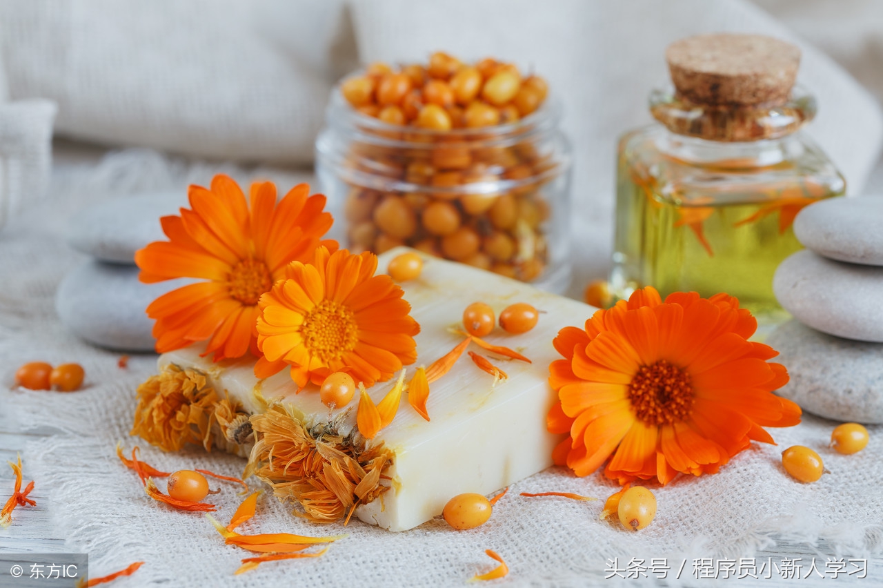 layui加载多选框,layui重新加载页面