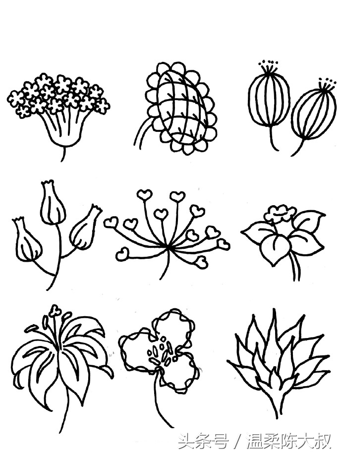 简单手账简笔画边框,简单又好看的手帐简笔画教程