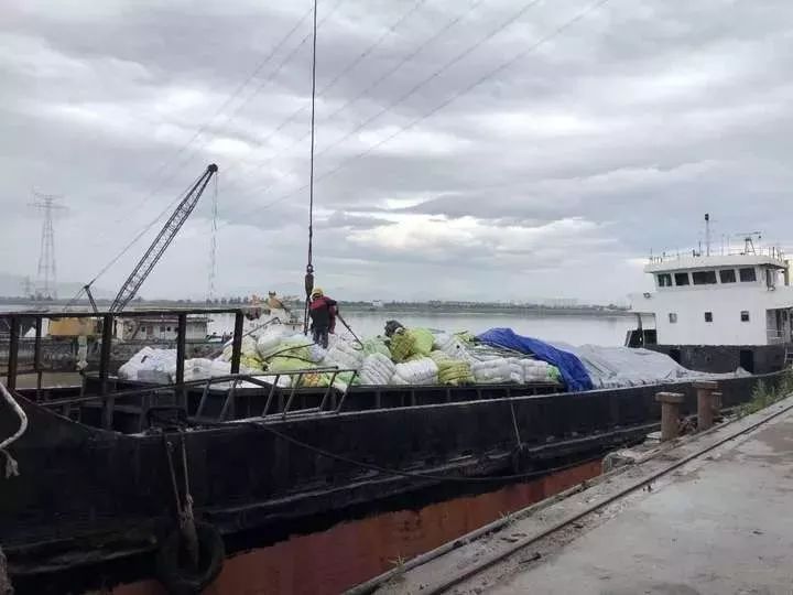 怎么区分是否洋垃圾衣服,如何分辨洋垃圾服装