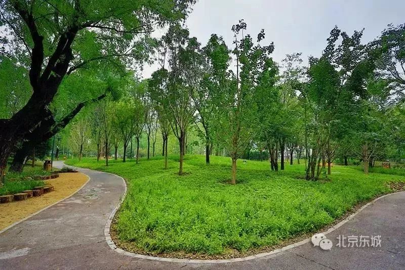 工体与原来的区别,工体为什么要改造