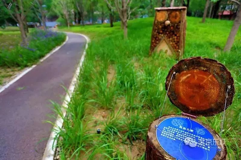 工体为何那么出名,工体为什么叫天花板