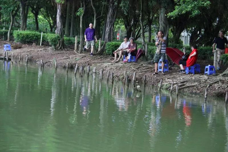 广州南沙自驾游一日游推荐,广州南沙亲子游自由行攻略