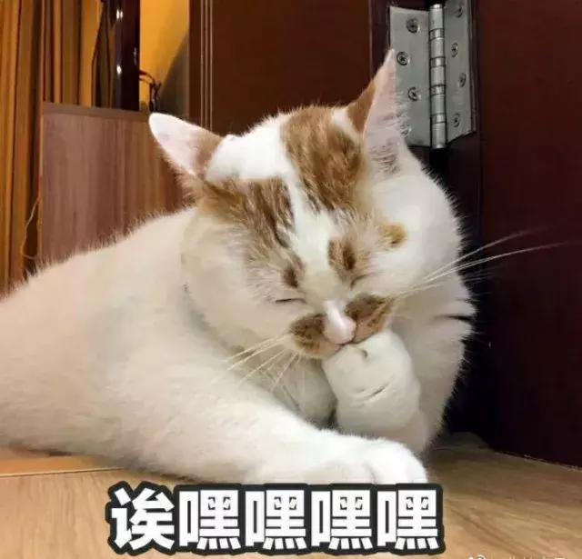 如何快速让自己手里资金翻倍,不是学金融就是学管理