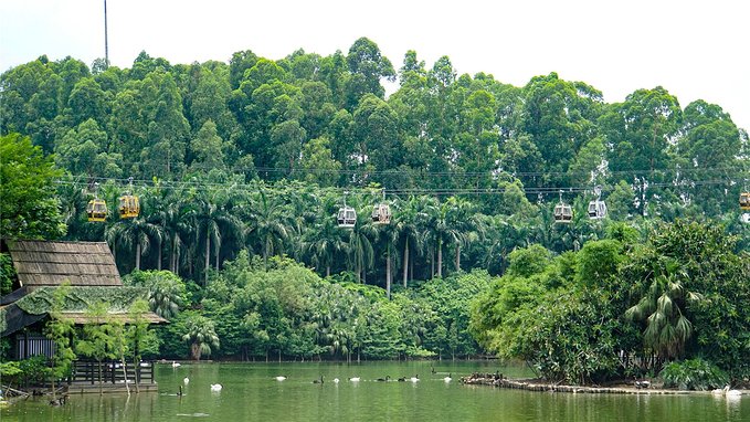 带小孩去长隆欢乐世界畅玩一天,暑假带娃去广州长隆野生动物世界
