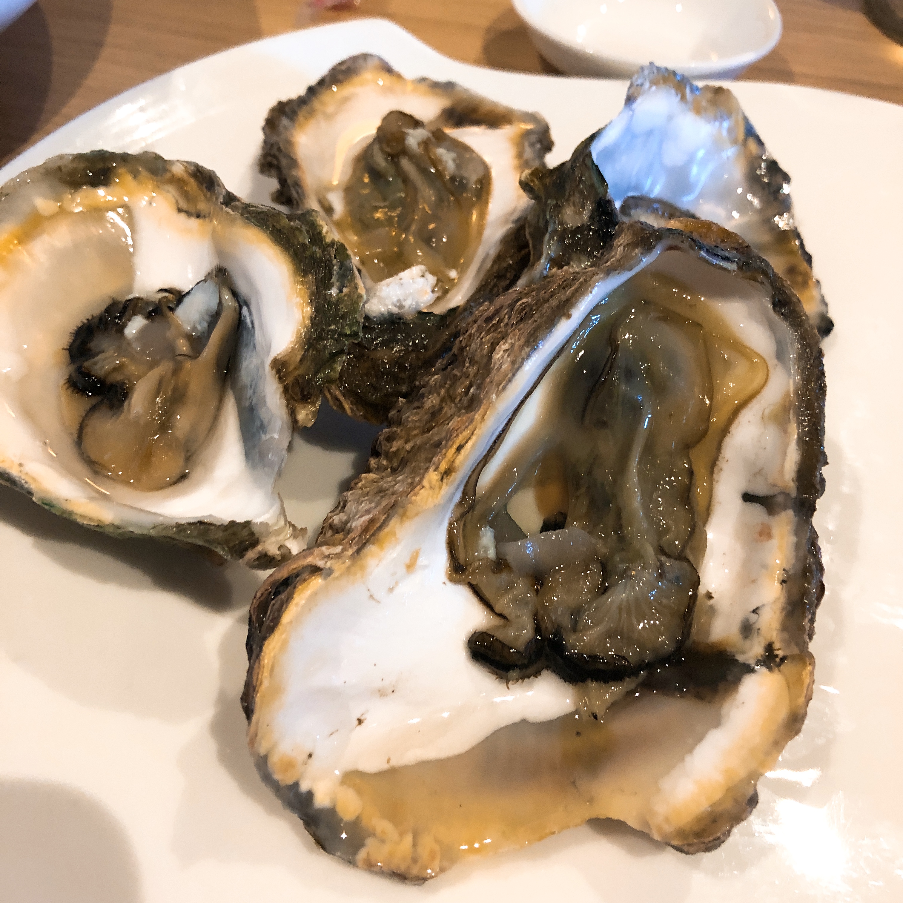 初识民宿住宿团购,宿务海岛