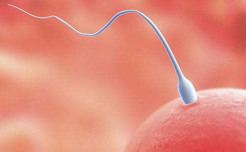 娣卞浜ф埧,娣卞浜ф埧瀛曞鍒嗗ī