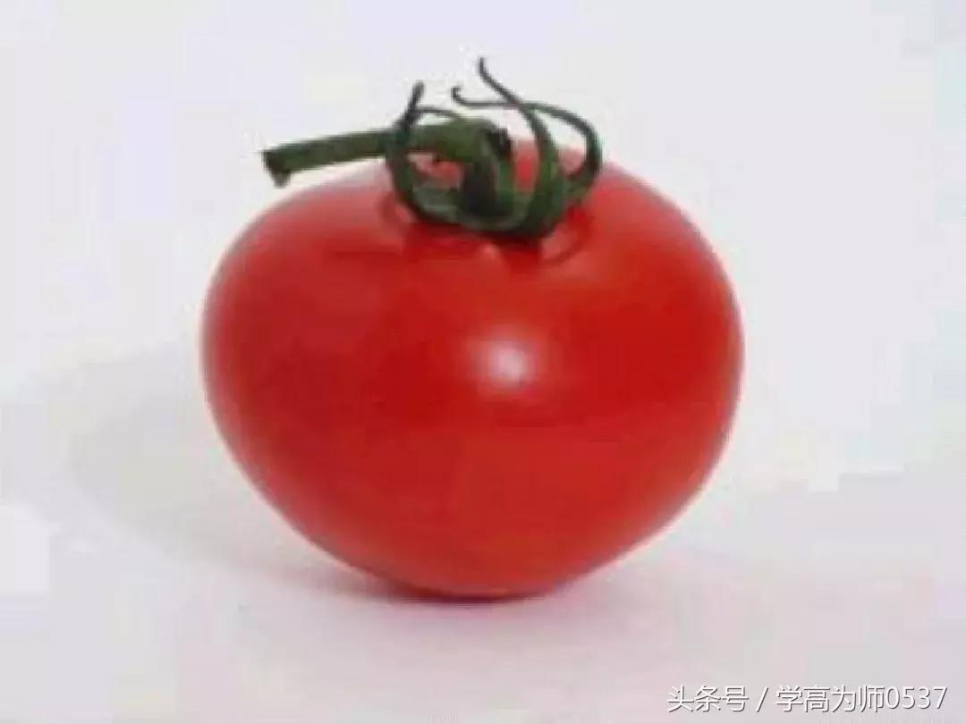 我最喜欢的一件物品五年级作文,五年级上册介绍一件物品作文