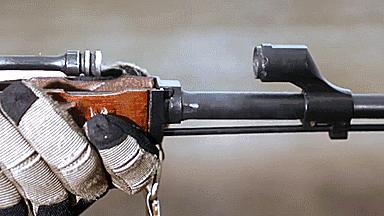 长度最短综合性能最强的无托步枪,无托式步枪克罗地亚