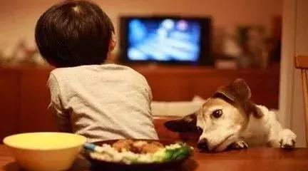 708090后的怀旧经典电视剧,7080的经典电视剧有哪些