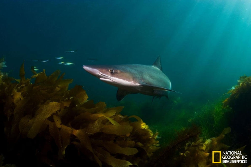 一支50g的防晒霜可以用多久,一支防晒霜需要多少帽子