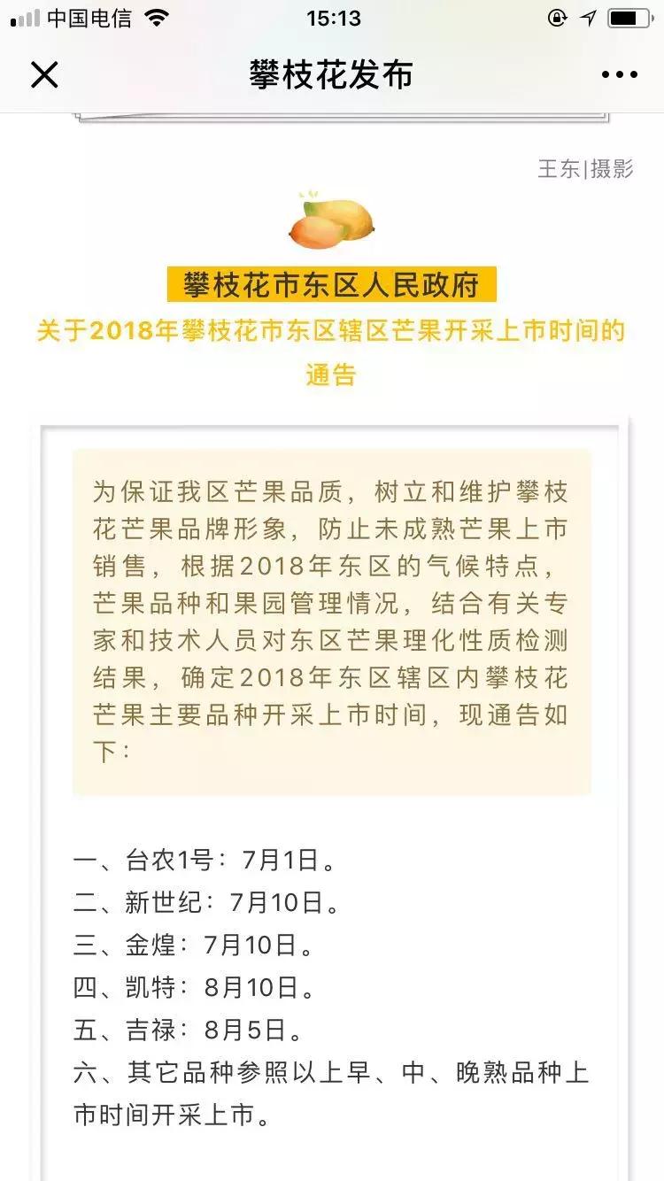 凯特芒果攀枝花为什么云南发货,攀枝花的凯特芒果什么时候上市