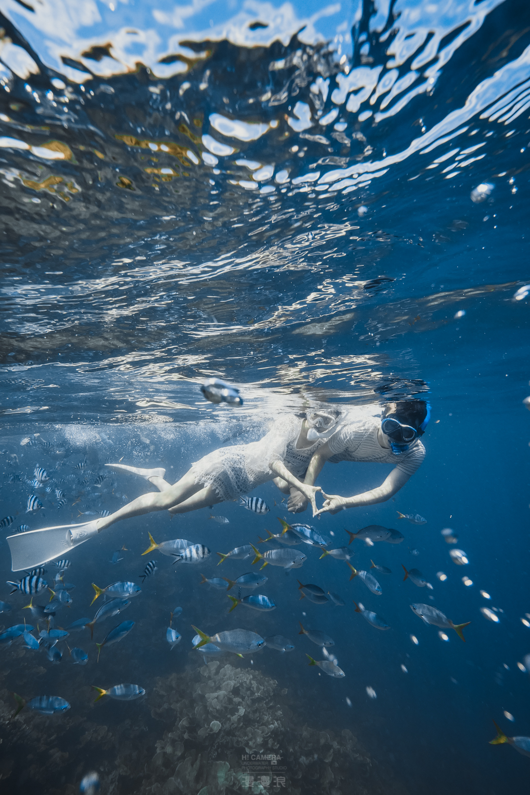 帕劳旅游攻略,帕劳自由行最佳路线