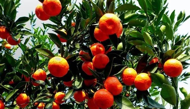 下一站溆浦南站,下一站怀化南站