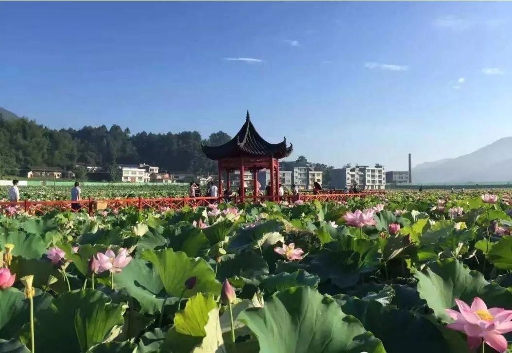 下一站溆浦南站,下一站怀化南站