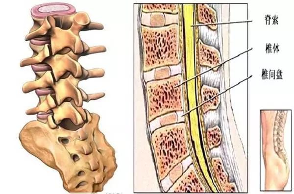 中医养生大讲堂治腰间盘突出,中医讲堂腰椎间盘突出