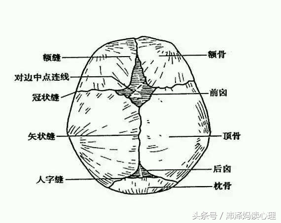 新生宝宝,新生儿第一次来例假前有什么症状