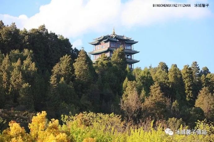 为什么要去大理才算爱得认真,为什么要去丽江古城旅游