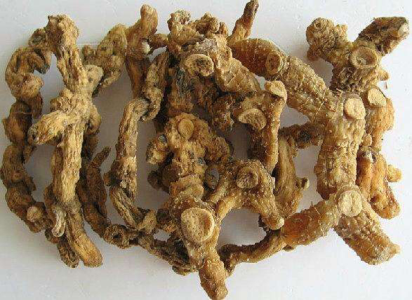 中药学党参黄芪,什么是黄精