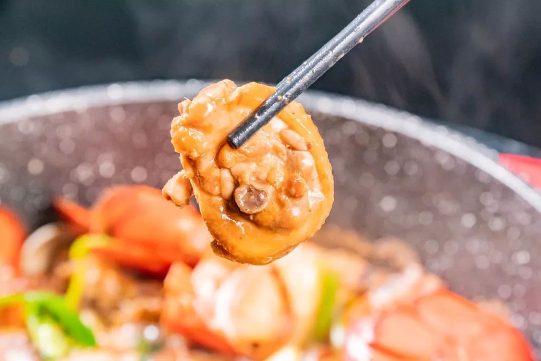 波龙搭配什么最好,波龙和什么混养