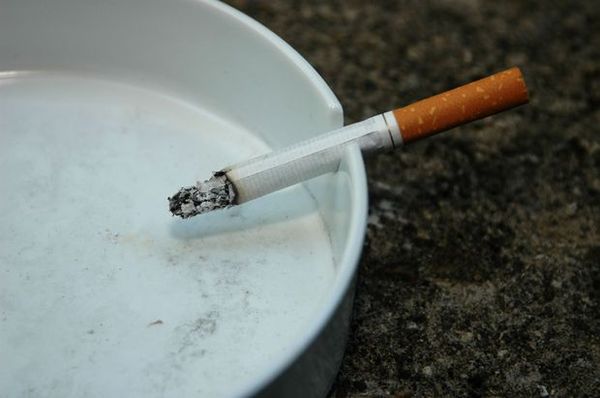 用完整的香烟泡水浇花,香烟水浇花的作用