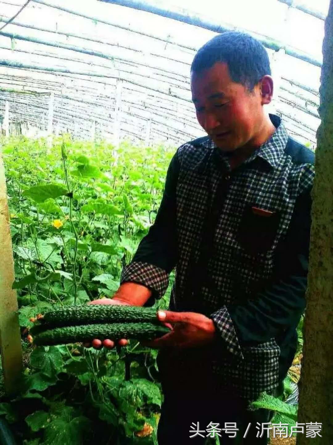 陈锋名师工作室,陈锋老师视频