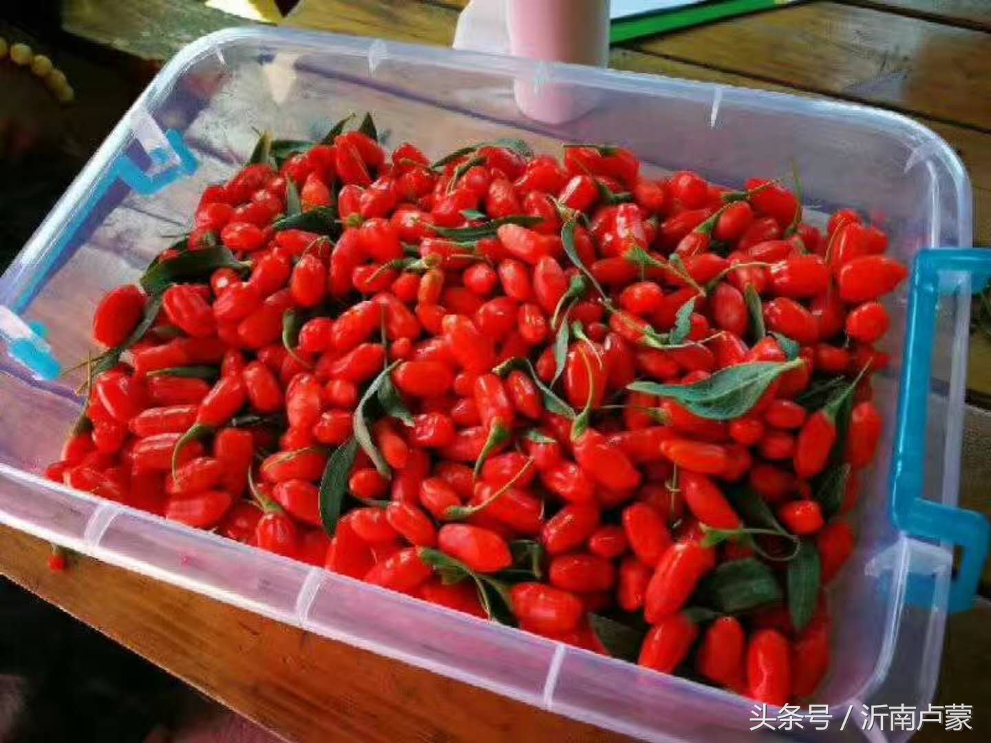 陈锋名师工作室,陈锋老师视频