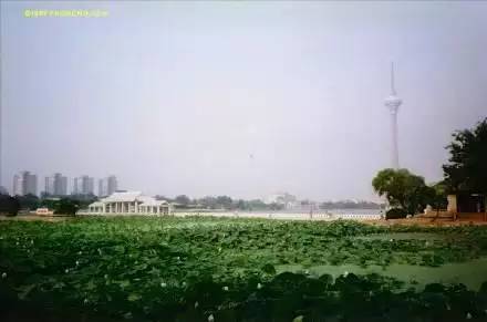 天津1990年代照片,天津旧照1980杨柳青