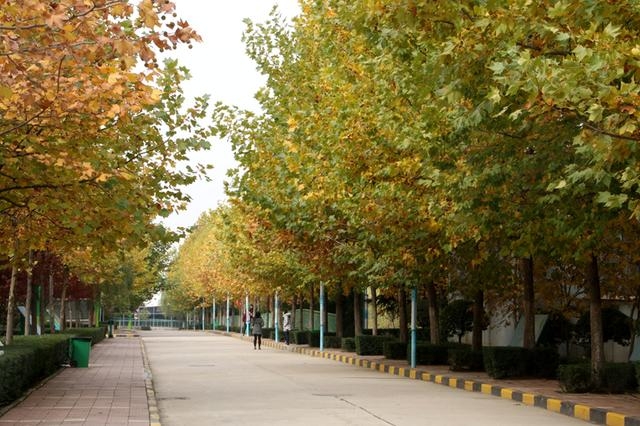 陕西十大高职学校排名,陕西高职专科学校排名榜前十名