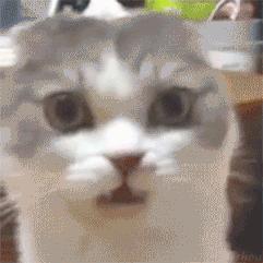 怎么拯救你,我的“大汗脚”……脚臭和脚气,有多远的距离?